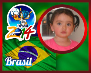 Marco de fotos dentro de la bandera de brasil