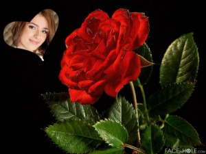 Fotomontaje en un corazón junto a una rosa roja